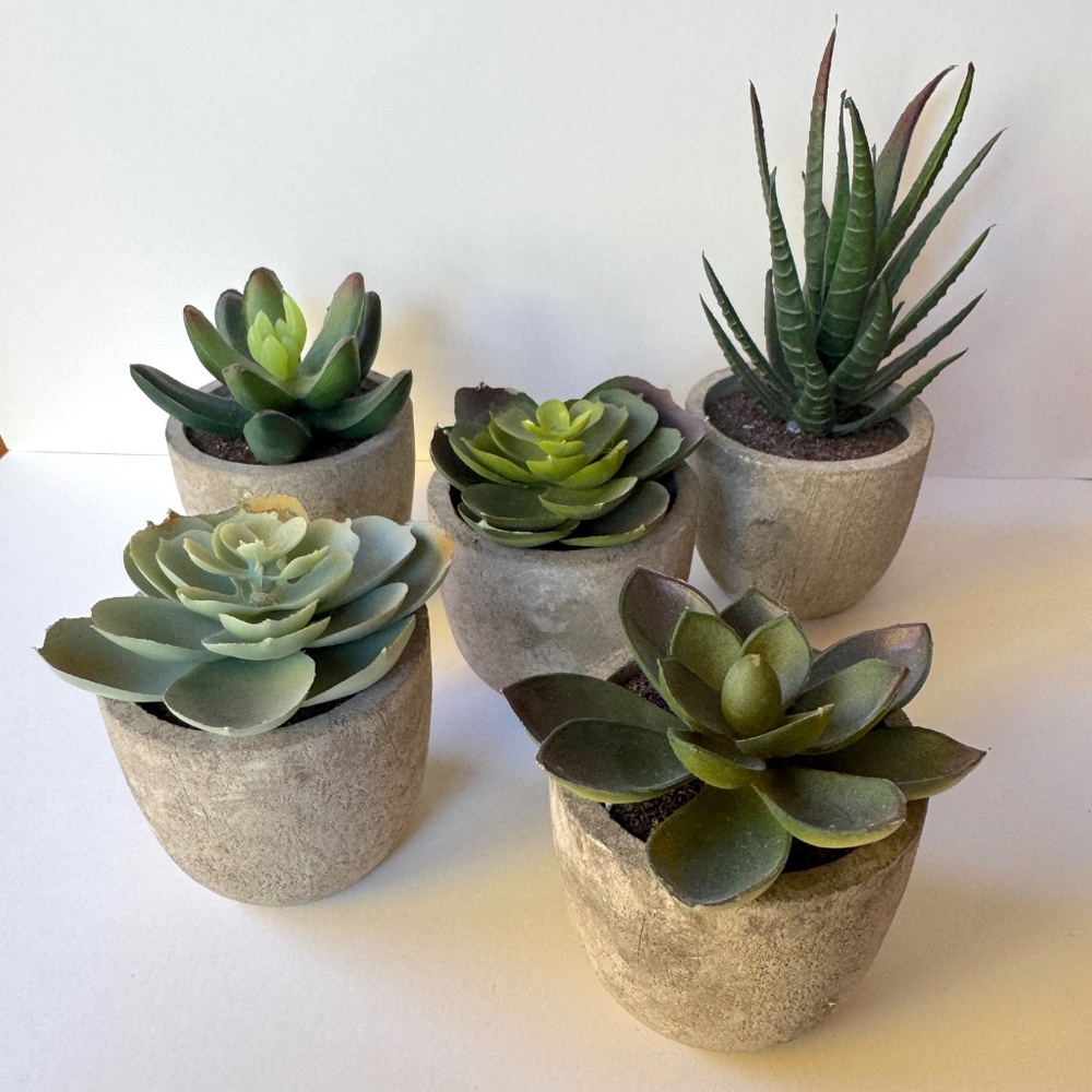 Succulent Mini Plants, Set of 5 Assorted, Plastic Resin Decor